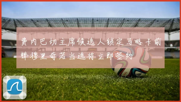 费内巴切主席候选人锁定马略卡前锋穆里奇若当选将立即签约